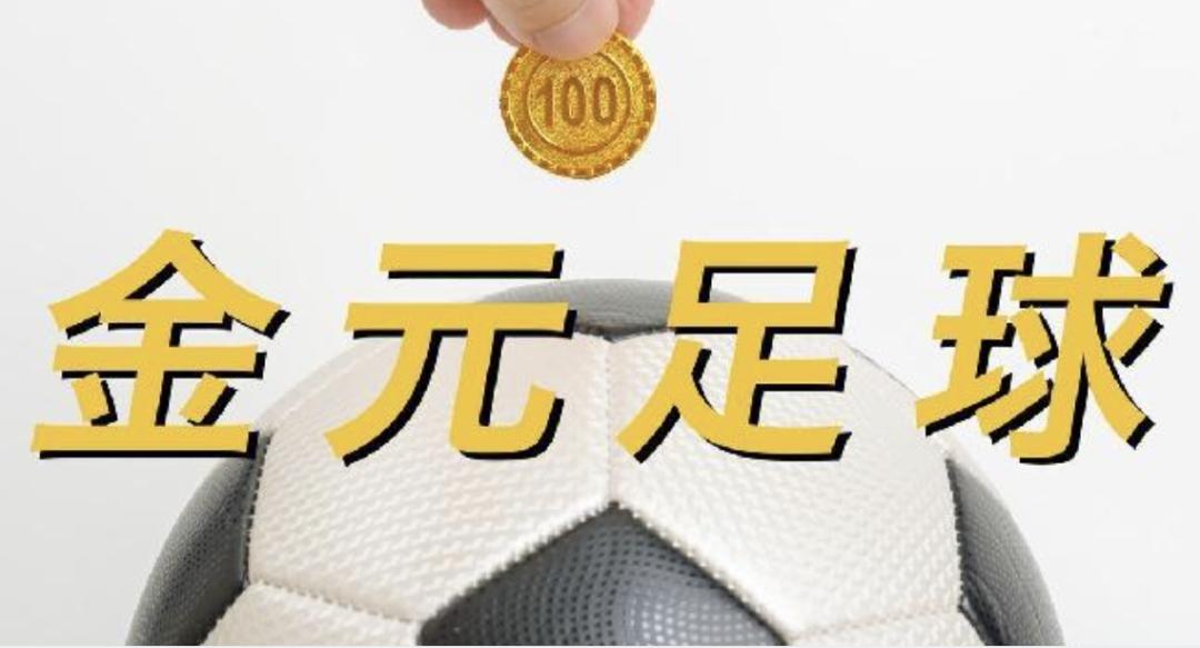 世界杯伊利vs美国,2024欧洲杯伊利