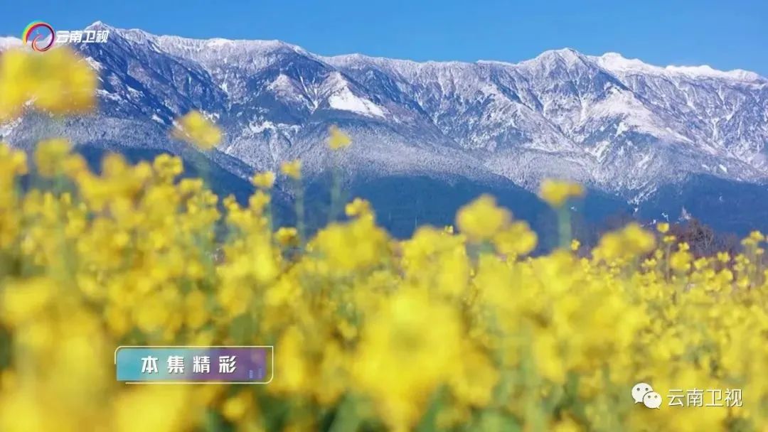 丝路云裳盛装中国盛典之夜视频,丝路云裳盛装中国第一站大理