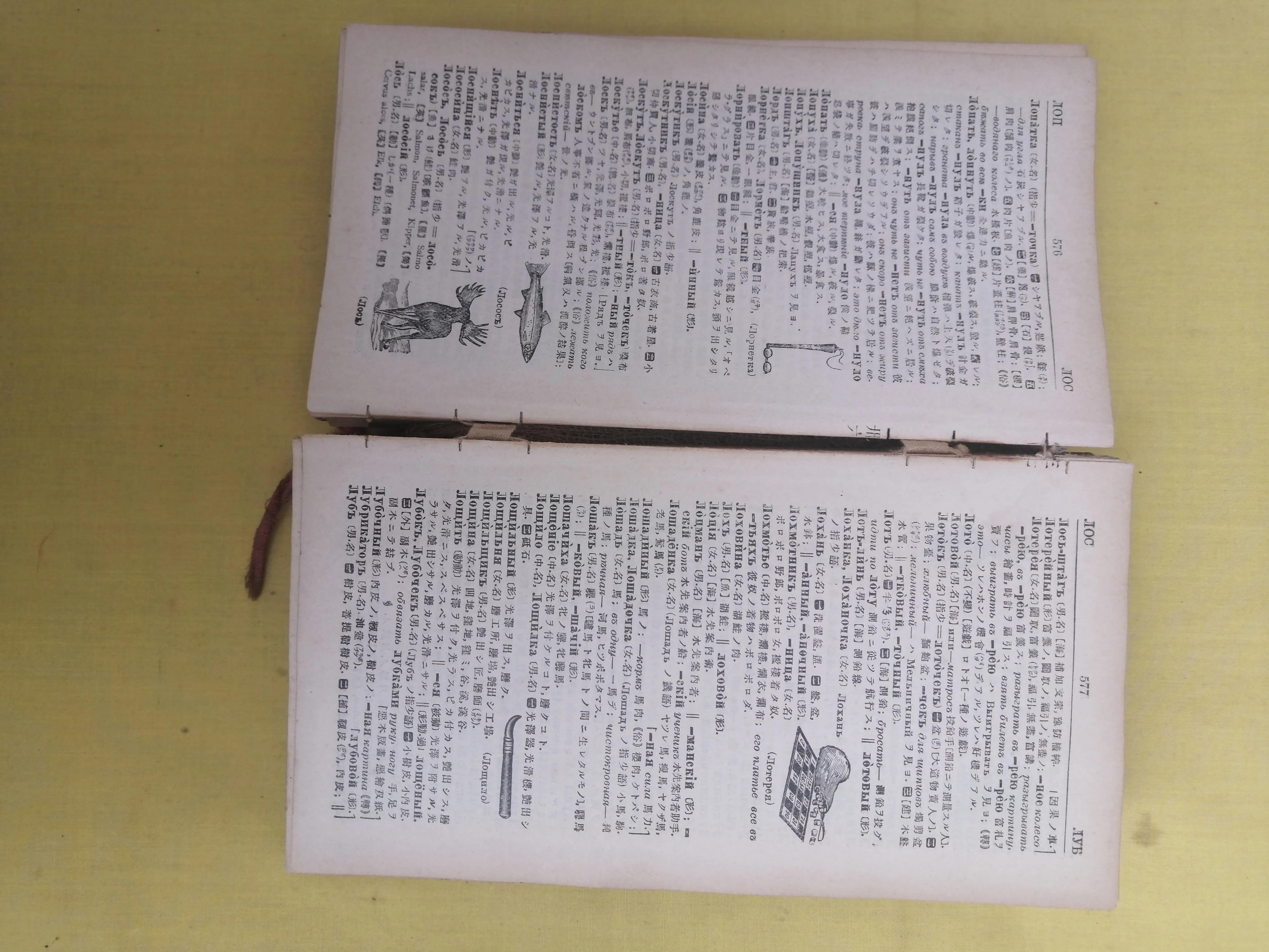 词源学日语,词源日语