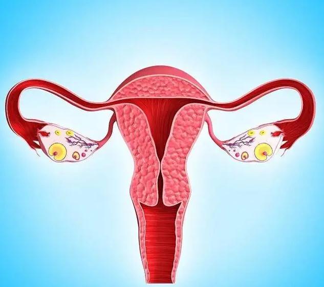 月经结束后有褐色分泌物有问题吗,月经完了后又开始出现褐色分泌物