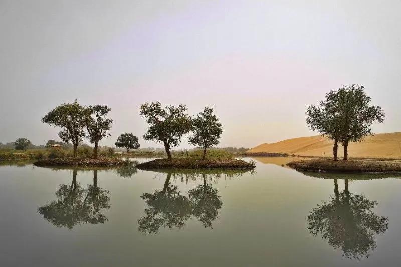 现在货币基金收益好的有哪几个,货币基金收益为什么会越来越低