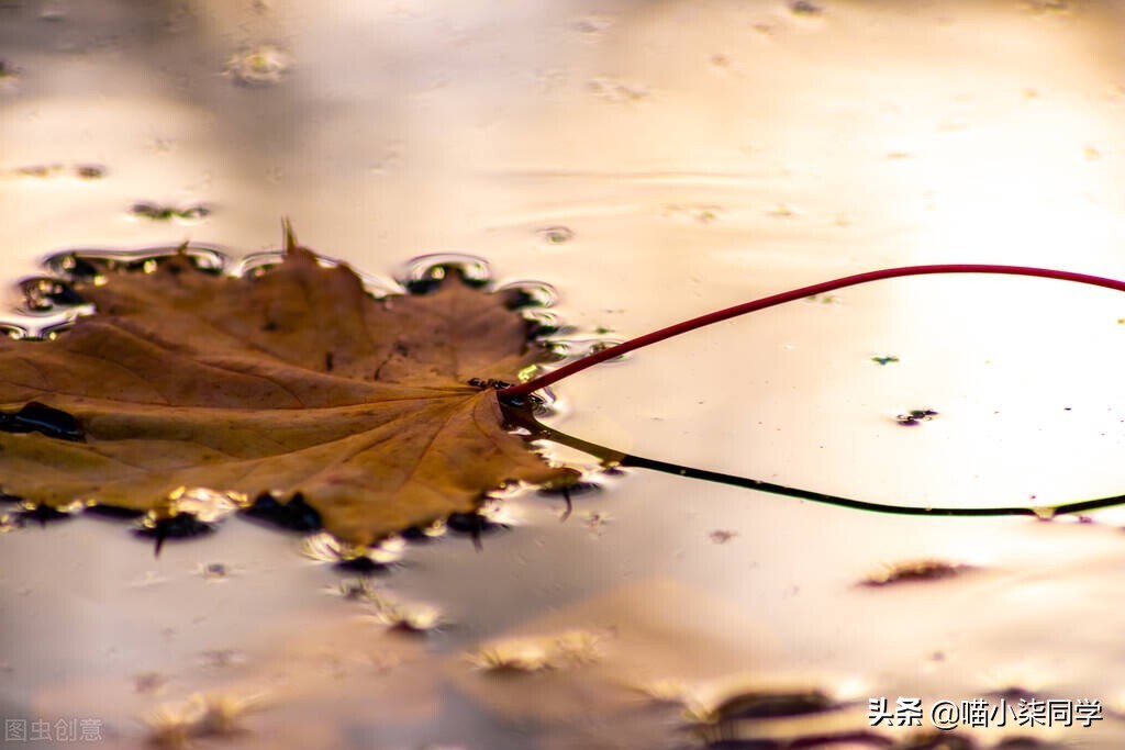 男人走出失恋的最好方法,走出失恋最快最实用的方法