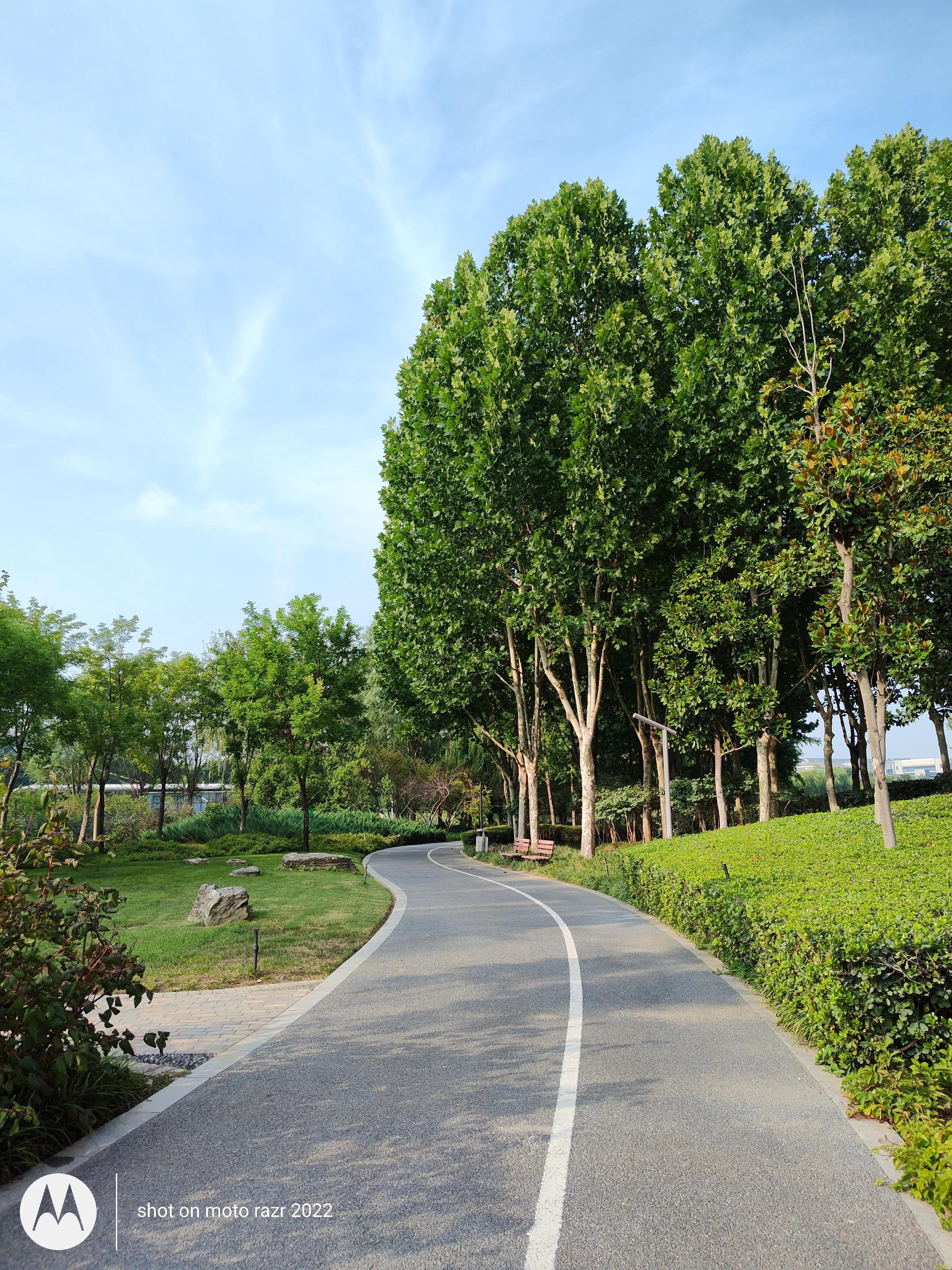 motorazr2022能打游戏吗,motorazr2022款屏幕