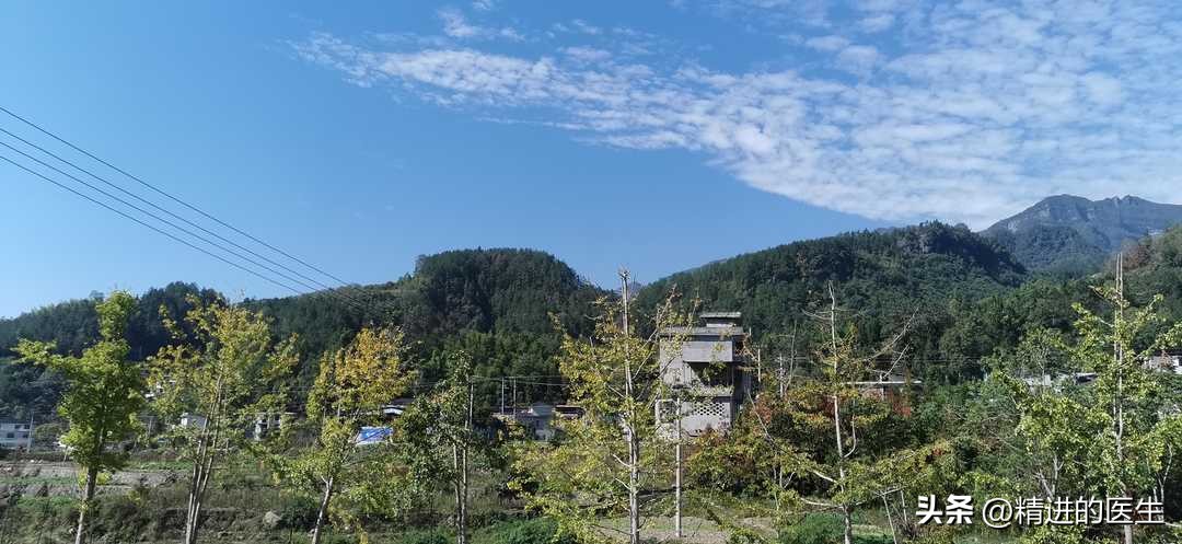 血型实验报告结果分析,血型实验视频