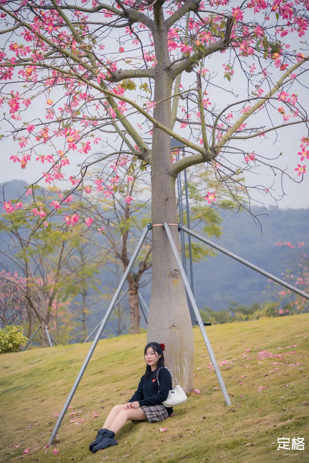 凤凰山绿道开放时间,凤凰山绿道全长多少公里