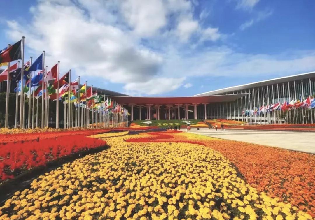 在四叶草里遇见RCEP,还有哪些精彩后续？