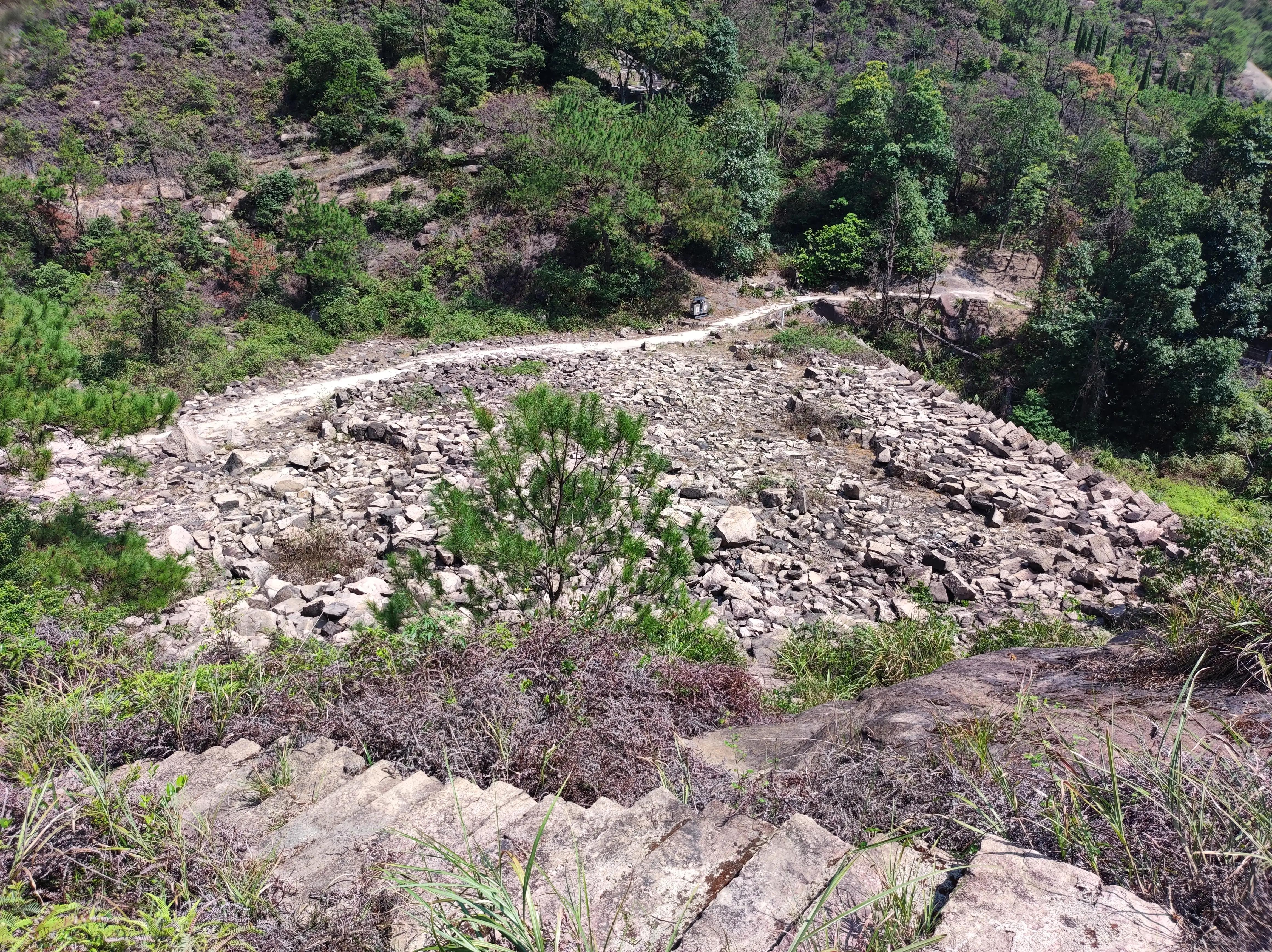 我爱大罗山,大罗山莲花石