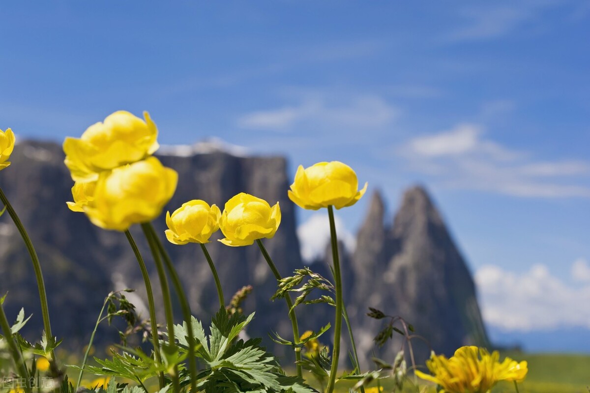 医案分享||查出乳腺结节千万别急着做手术,予你一剂良方击碎肿块