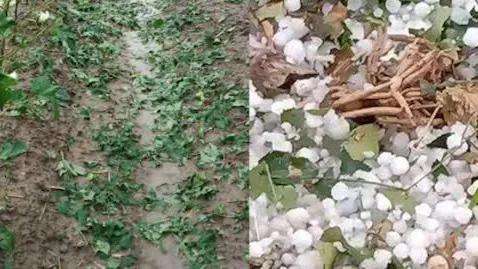 乡村往事春英与于山第43集,乡村往事四十一集