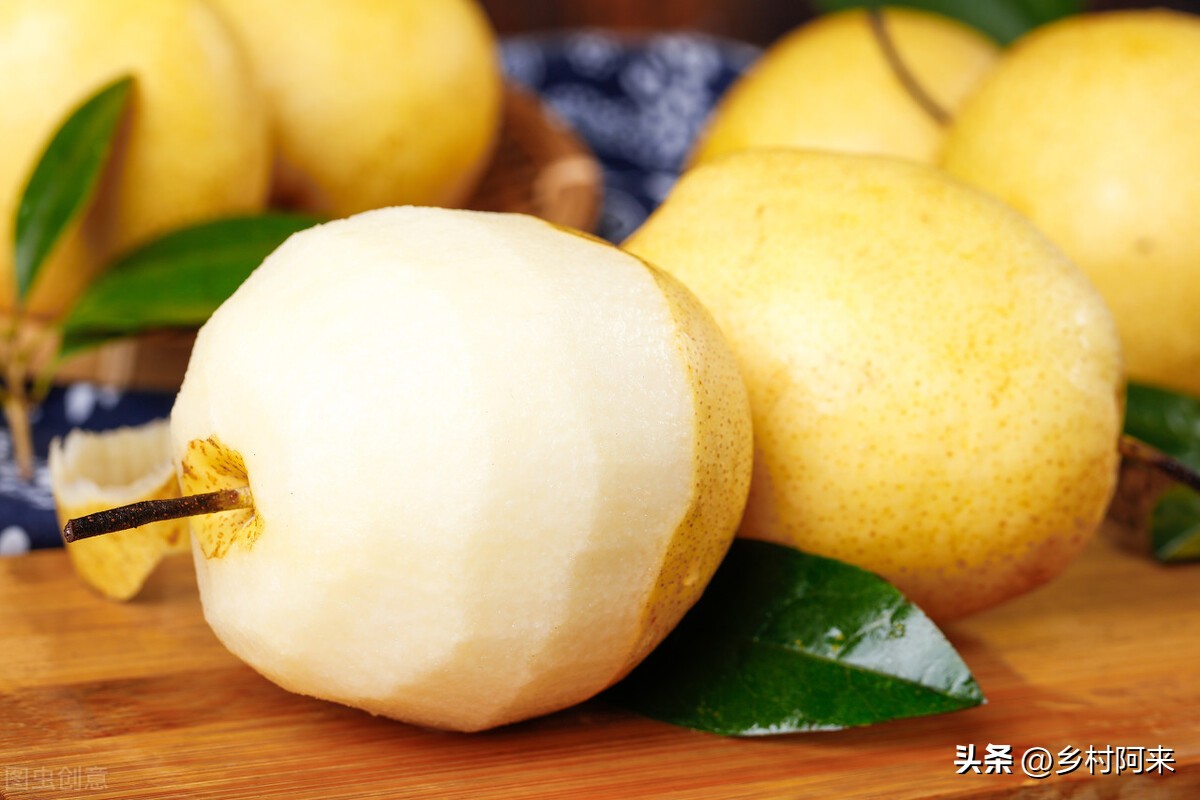 梨农村品种,农村最常见的梨子品种