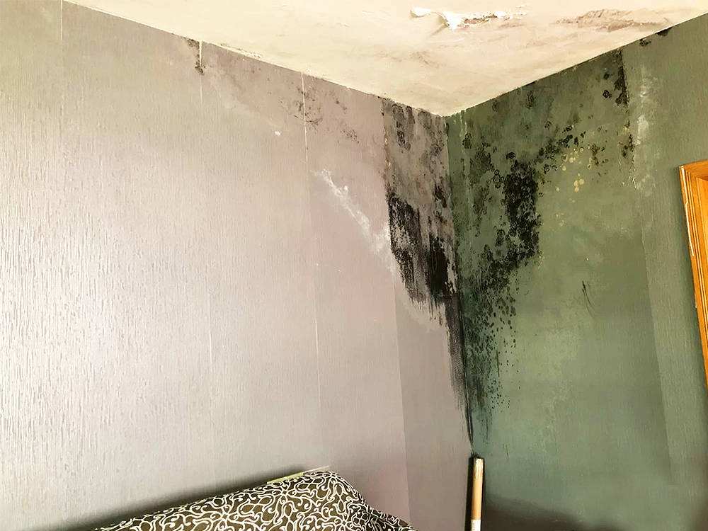 墙面防水补漏专治各种渗漏发霉,如何彻底做好旧房防水补漏