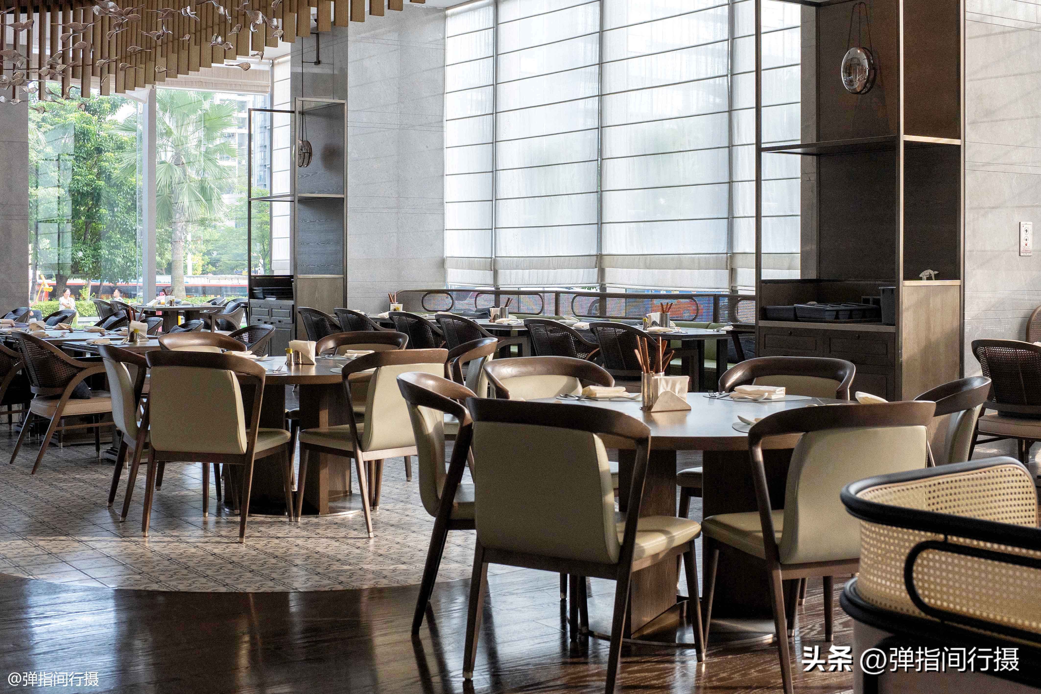 旅居深圳的日子,旅居办公两不误