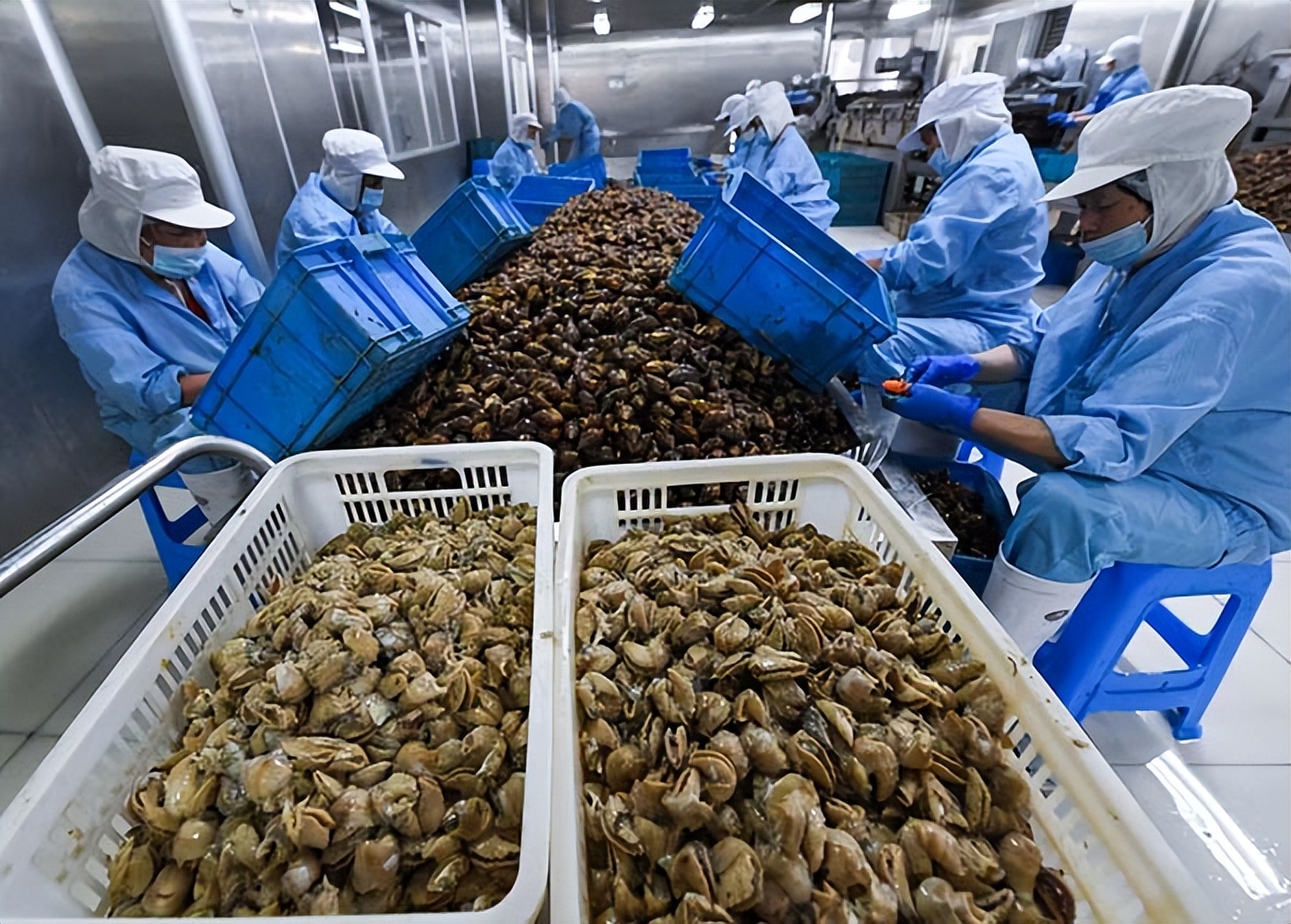 蜗牛可以做花肥吗,蜗牛做美容产品