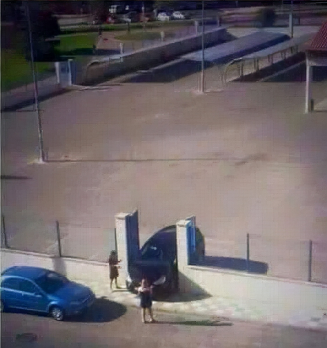 真实大象图片大全可爱,真实野生大象图片