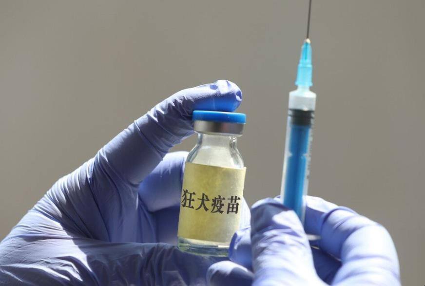 被狗咬了但没出血需要打疫苗吗,被狗咬了没有出血要打狂犬疫苗吗