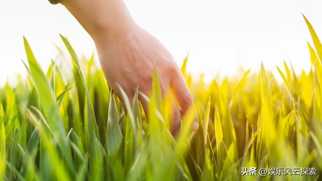 黎明谈与刘德华比较视频,黎明颜值巅峰和刘德华颜值巅峰