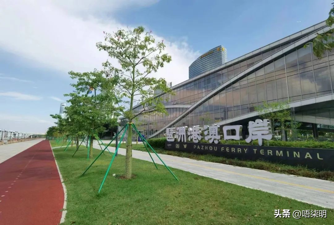 广州琶洲香港航线今起试运营,广州乘坐船去香港