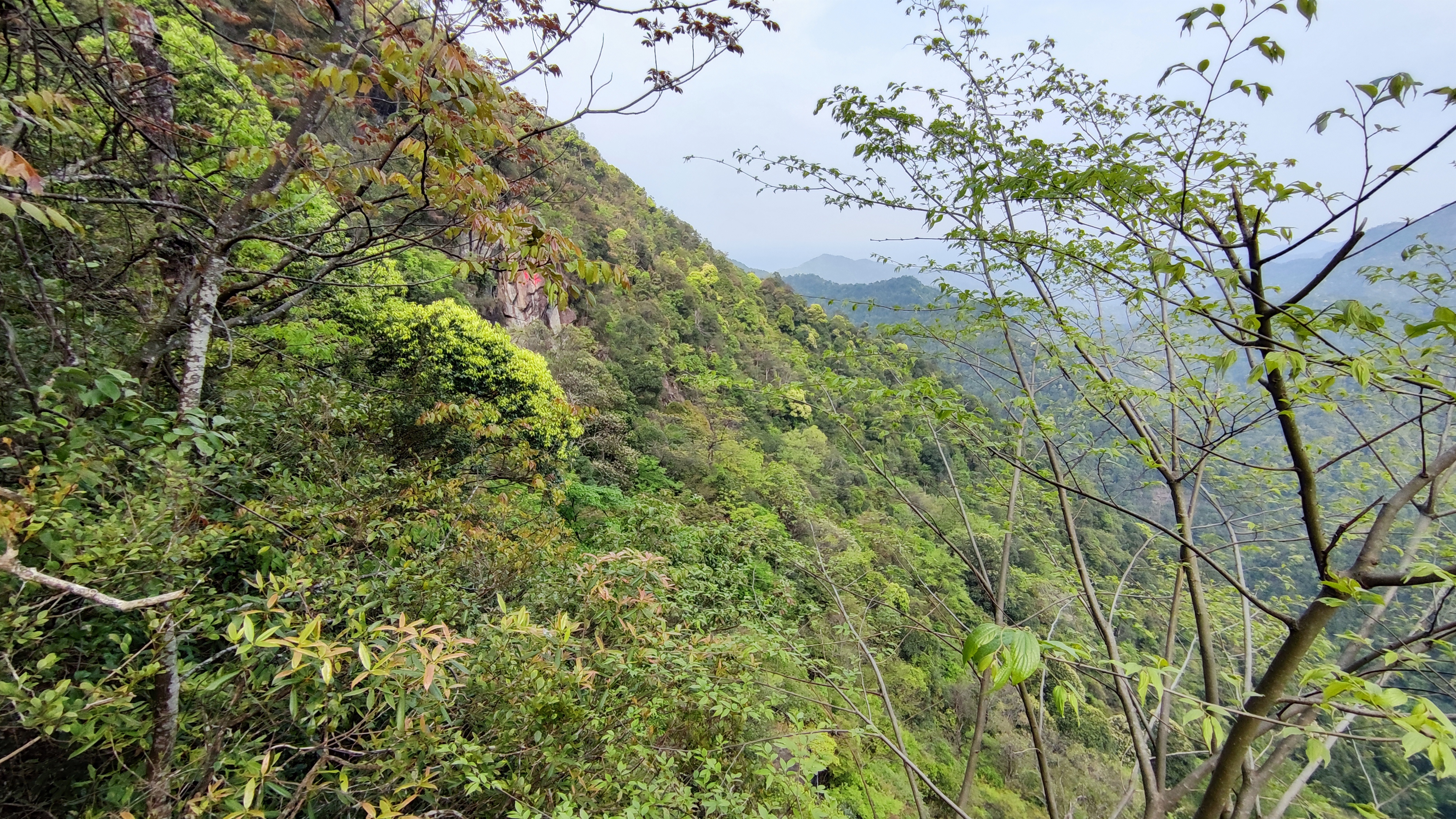 饮水思源的水是什么水,饮水思源的源怎么写