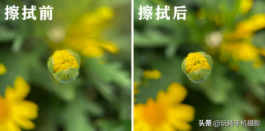 用什么可以拍出美丽花草的照片,6个技巧拍好花卉照片