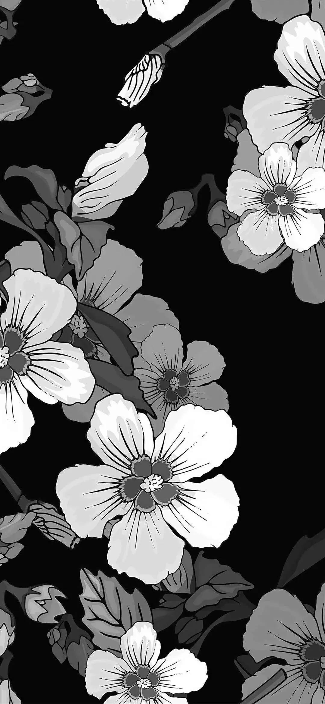 花朵黑白手绘图,黑白图片花朵