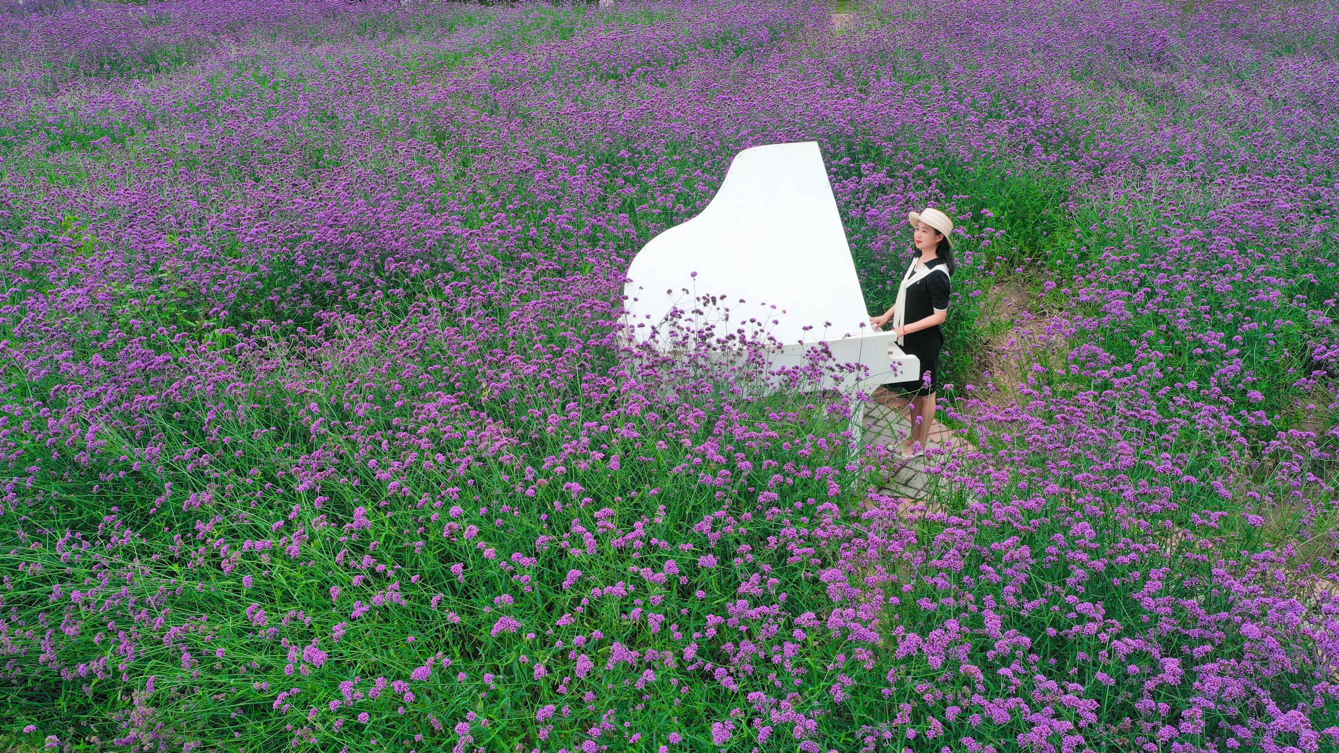 暑假去厦门鼓浪屿旅游攻略,厦门集美最适合带孩子去玩的地方