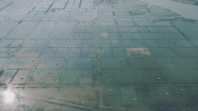 开大闸蟹专卖店利润有多少,开一家活大闸蟹专卖店