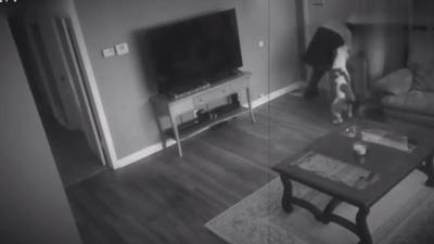 狗狗半夜无故吠叫，主人查看监控吓坏了：门把手在动