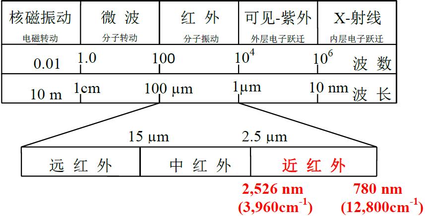爱情的甜你尝过没,爱情的甜尝不了