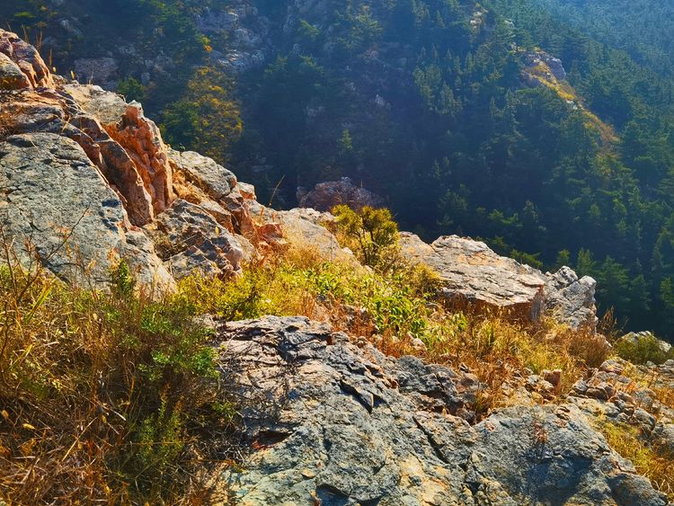 旅顺城山,旅顺城山怎么绕过去