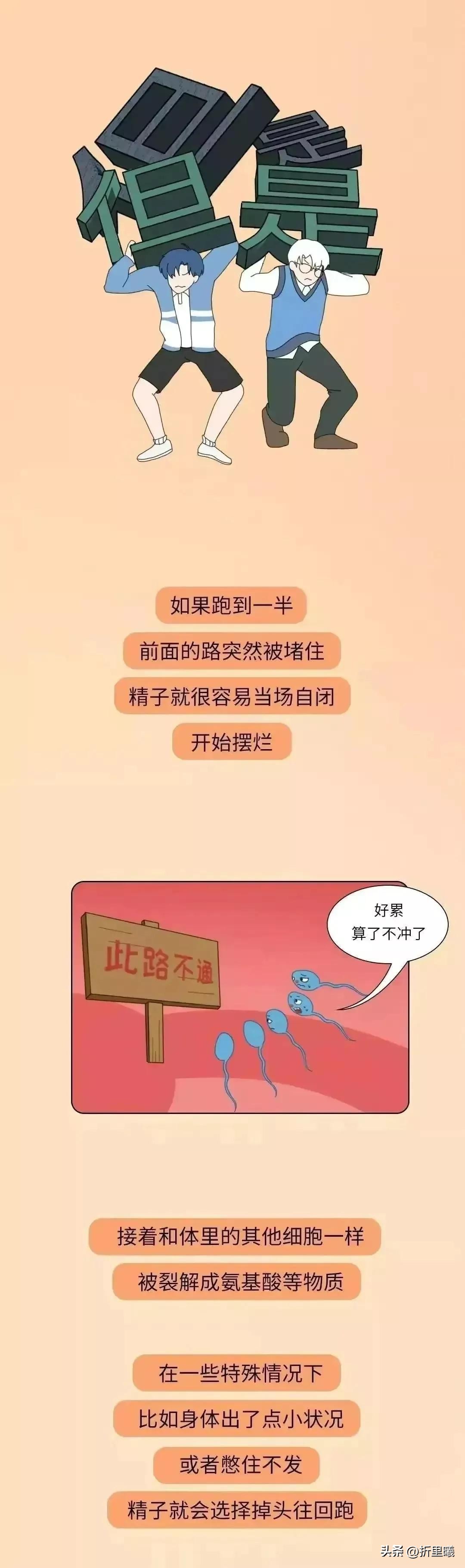 憋回去的精子都跑哪去了？