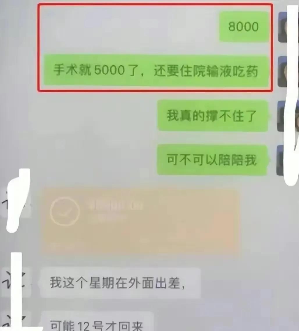 女大学生被有钱人养起来,女大学生被富商养三年