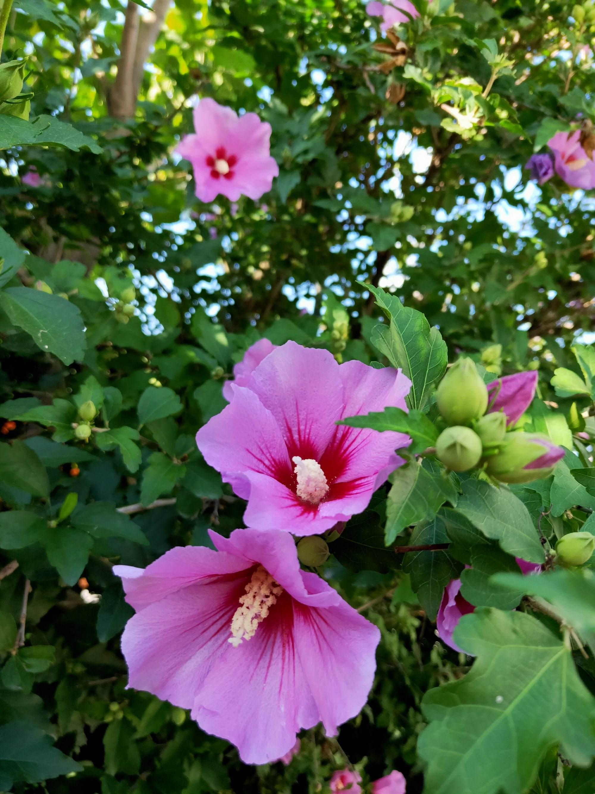 老中医喜欢十大食材,老中医五种食物养生100岁