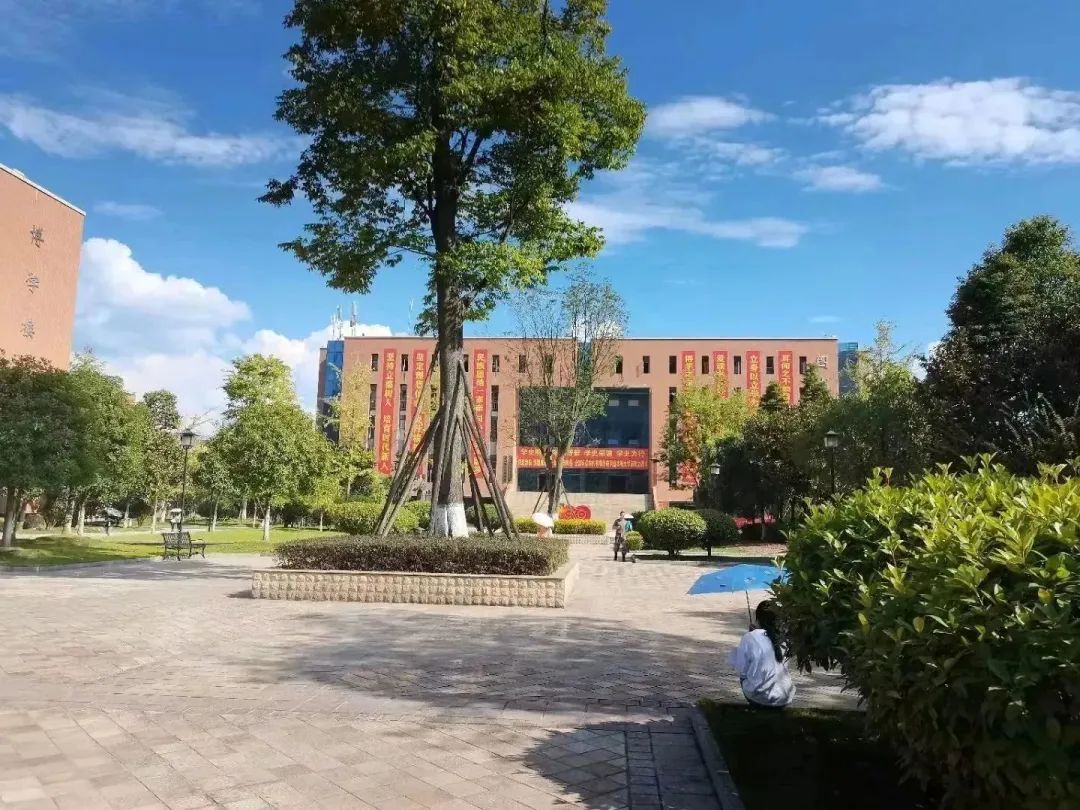 葵花宝典计算机二级考试,计算机二级考试全过程和技巧