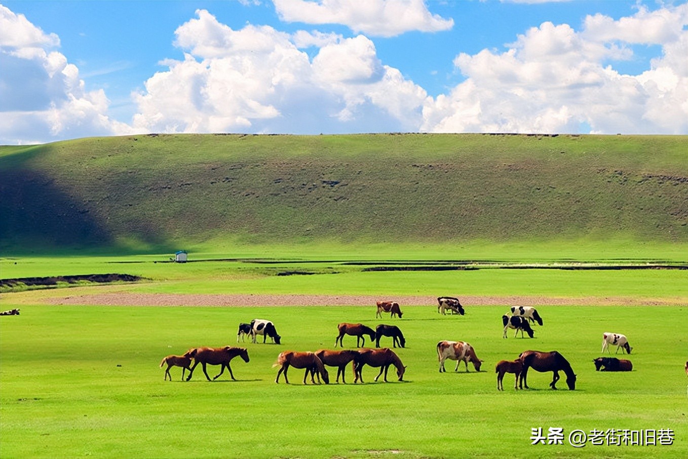 呼和浩特呼伦贝尔大草原旅游攻略,呼伦贝尔大草原的旅游攻略