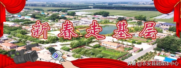 新春走基层大棚里面春意浓,新春走基层草莓种植基地