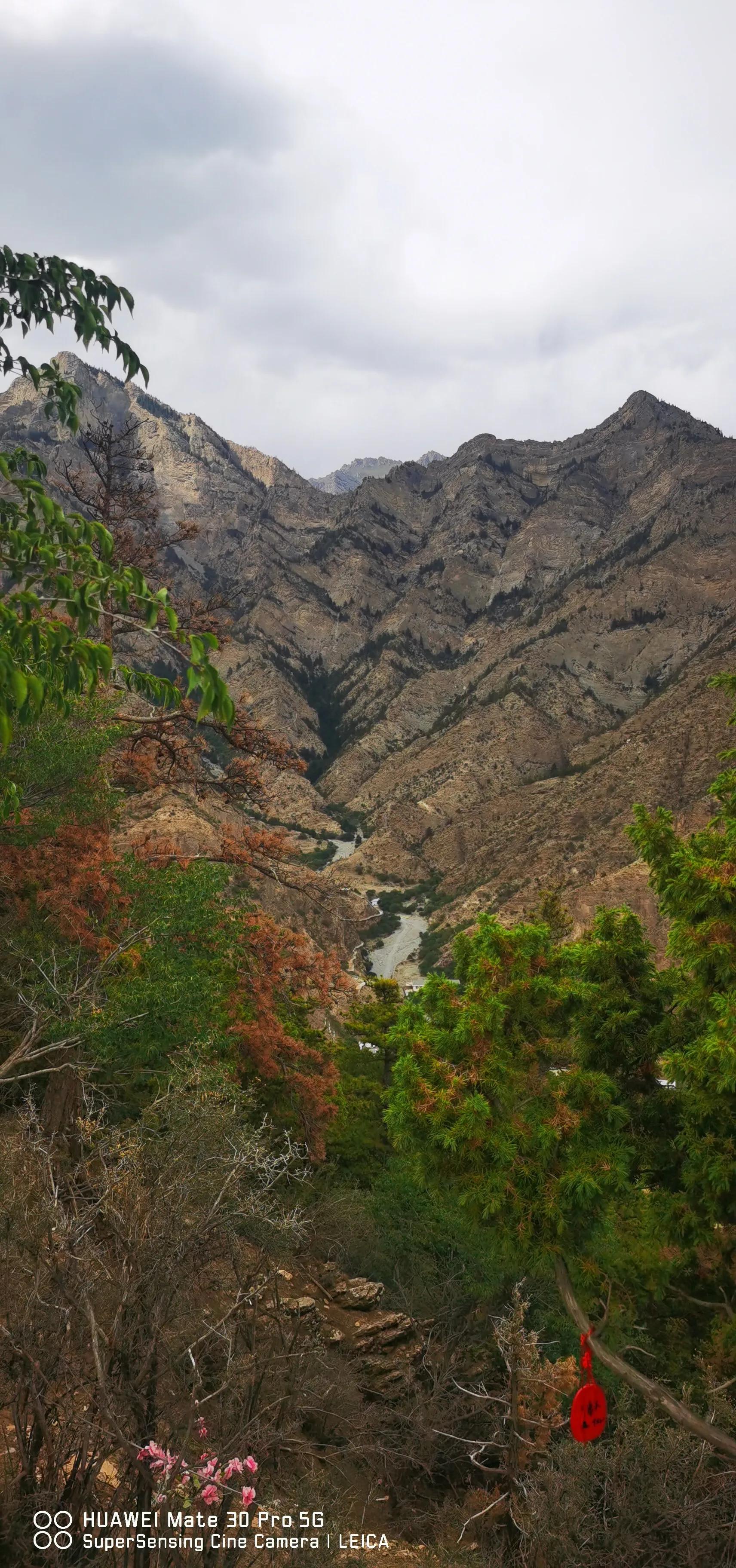 银川我来了视频,宁夏我来了完整视频