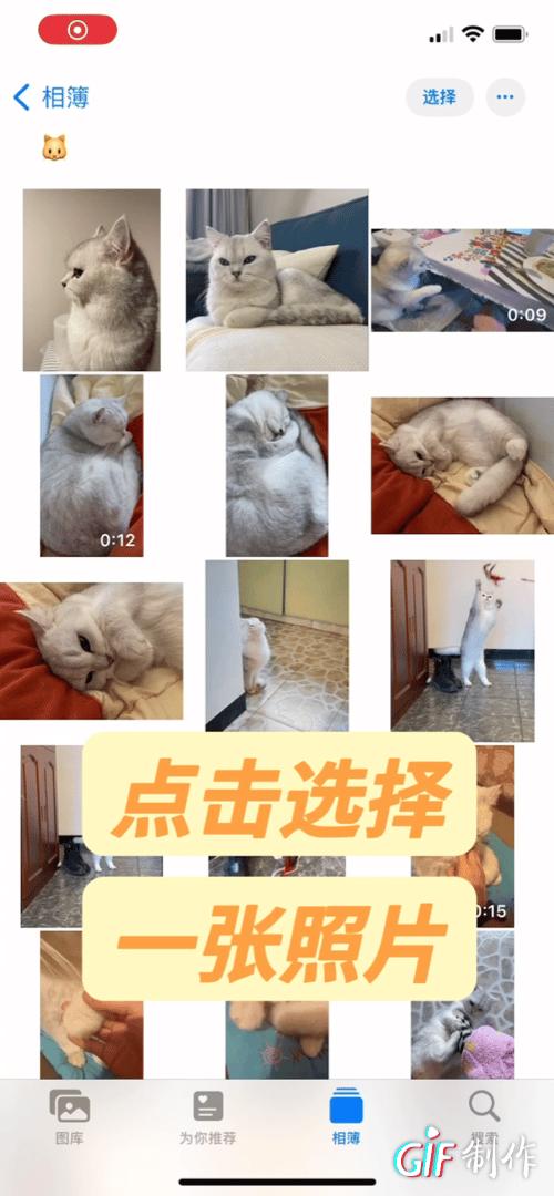 如何使用苹果手机的抠图软件,如何利用iphone简单抠图