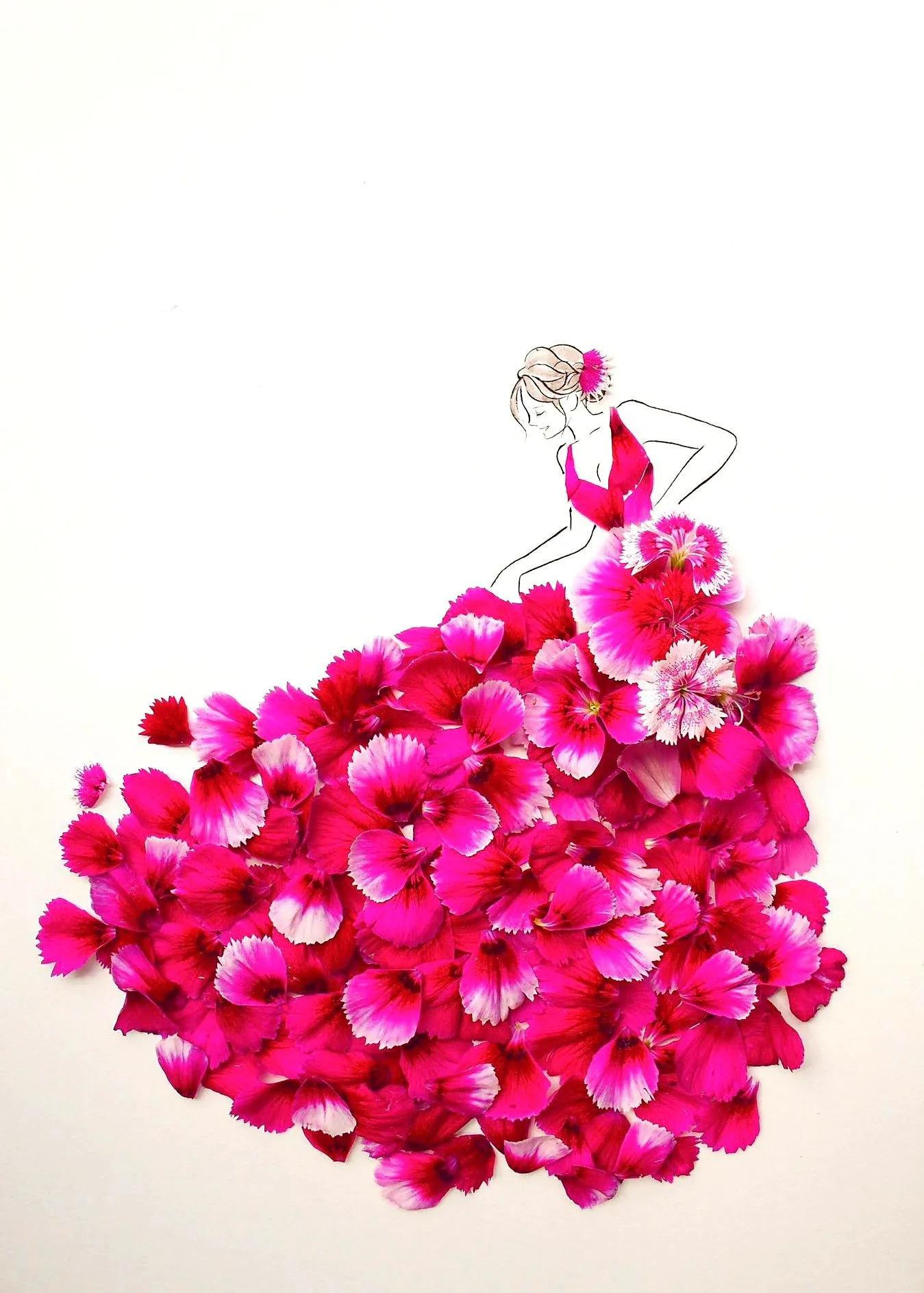 花仙子植物开花,花仙子开满鲜花