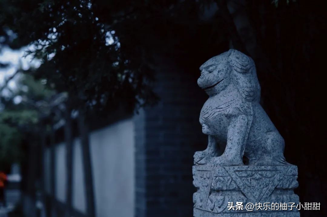 海边自助烧烤打卡地,海边烧烤自由行