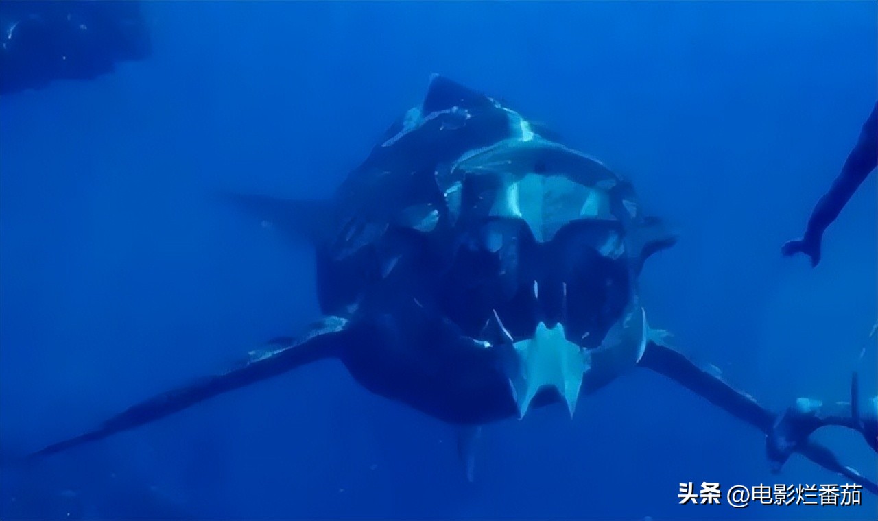 全球票房破亿电影,全球票房破百亿