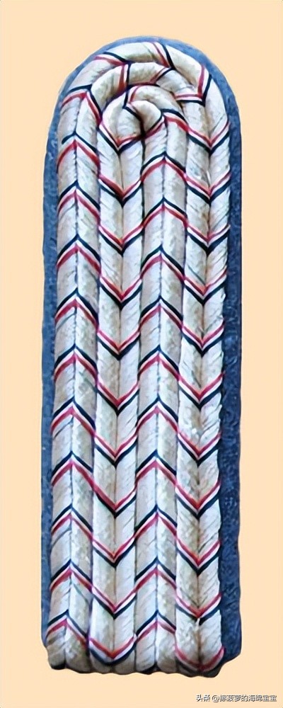 二战德国军官学历,二战德国上将级军官