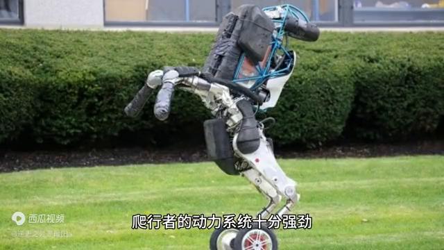 世界上最大的车是什么车型,世界上最大的车在哪买