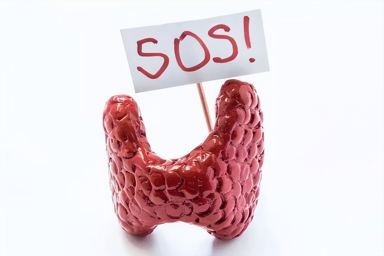 甲状腺抗体高怎么处理,甲状腺抗体两项都高怎么办