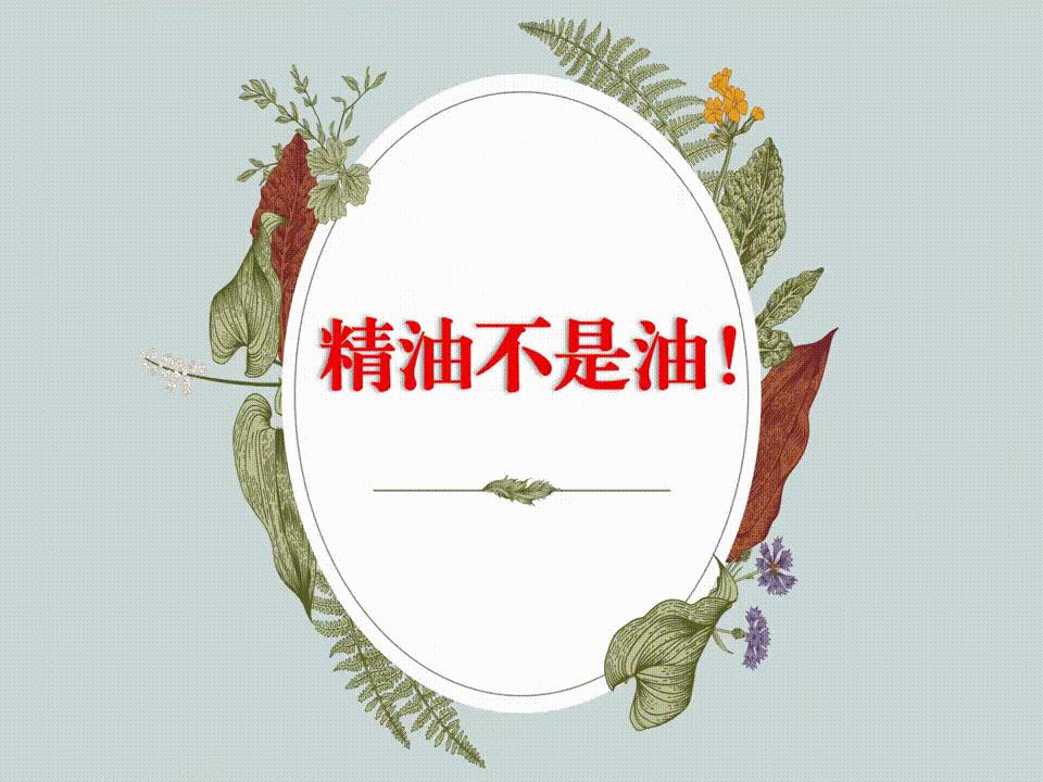 各种香味精油的作用,香遇白茶香护发精油