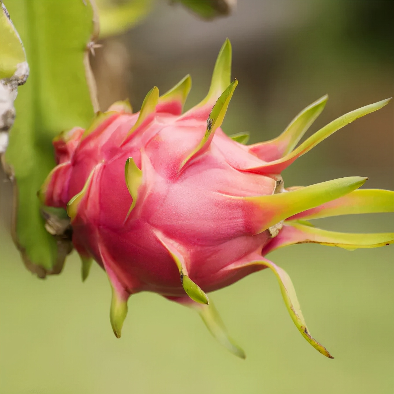 山色空蒙雨亦奇配图,山色空蒙雨亦奇航拍