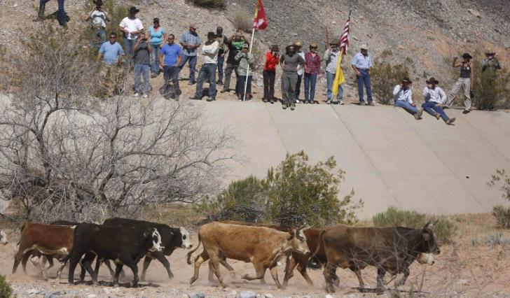 发达国家对农业多实行财政补贴,发达国家对农业的政策