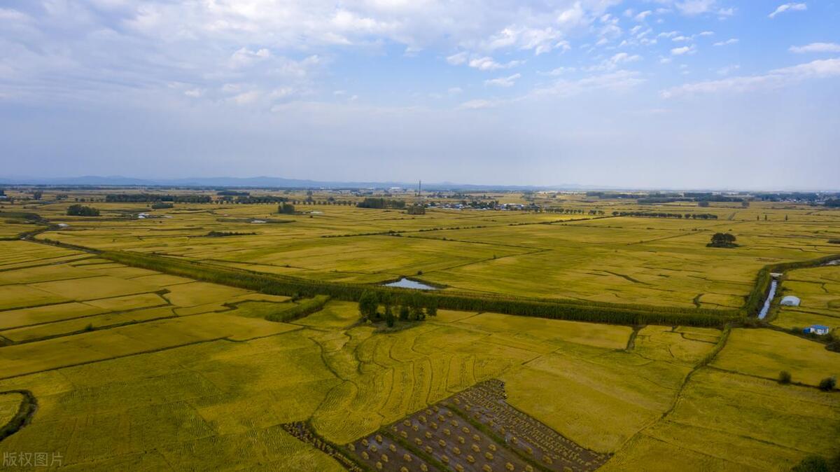 土地集中供应对房地产影响,土地政策对房地产影响