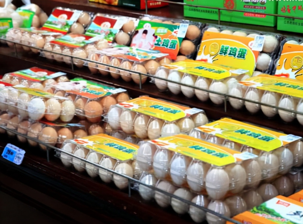 鸡的祖先是霸王龙？它为何每天都下蛋，细数鸡身上的“恐龙基因”