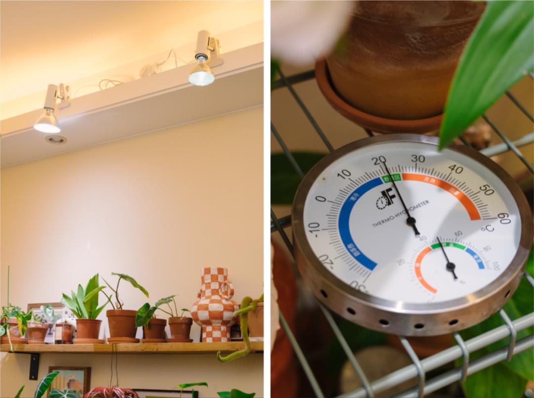 花3万元改造房子,情侣120平出租屋改造