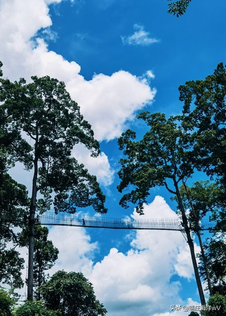 到云南昆明旅游必去的景点有哪些,云南香格里拉旅游攻略必去景点